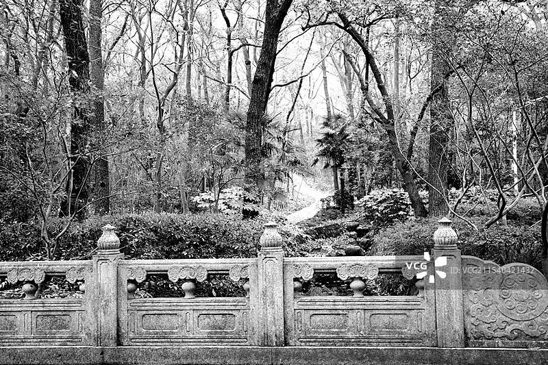 灵谷寺的初冬图片素材