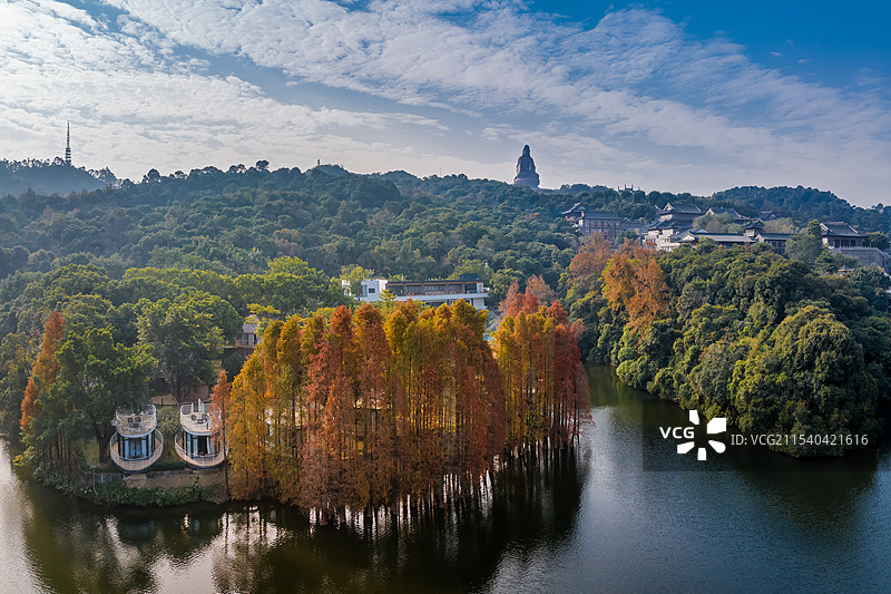 佛山南海西樵山东天湖落羽杉与观音像图片素材