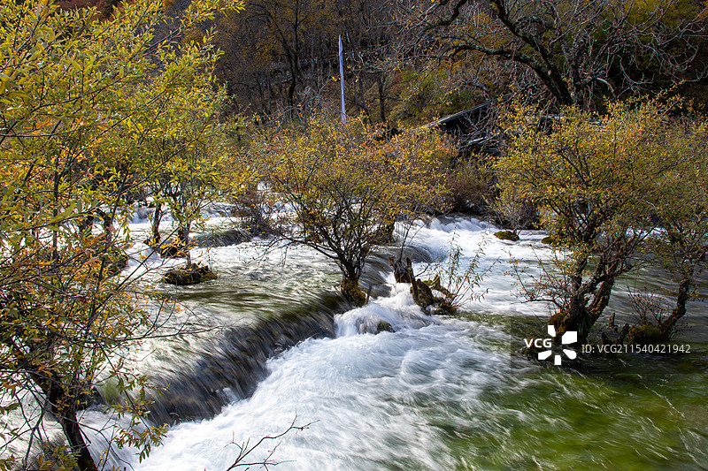 四川阿坝州川西九寨沟秋色，树正群海山林溪流图片素材