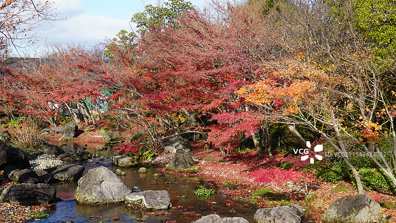 日本三重桑名市名花之里图片素材