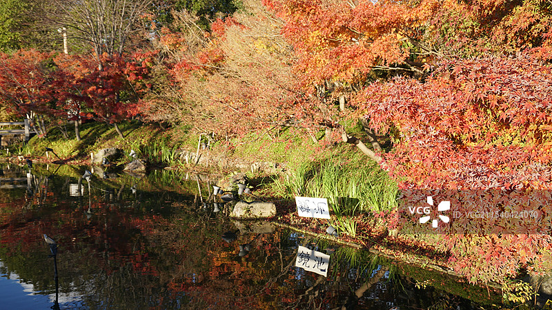 日本三重桑名市名花之里图片素材