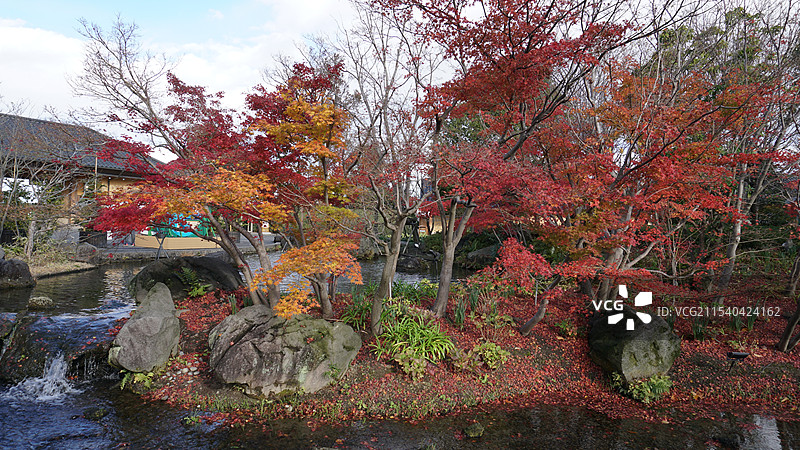 日本三重桑名市名花之里图片素材