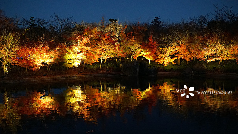 日本三重桑名市名花之里图片素材