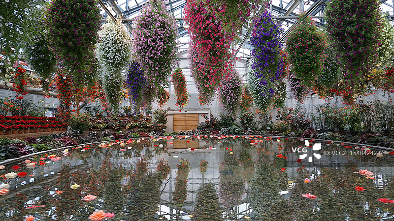 日本三重桑名市名花之里图片素材