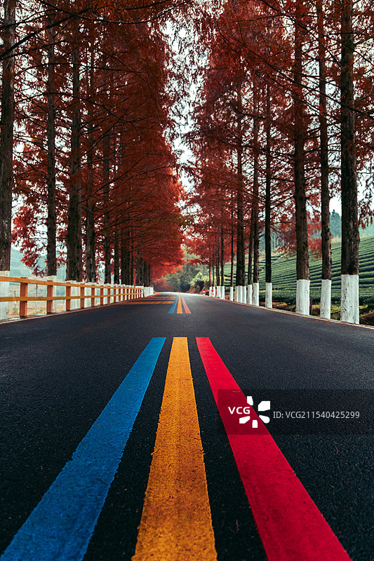 中国福建武夷山景区公路图片素材