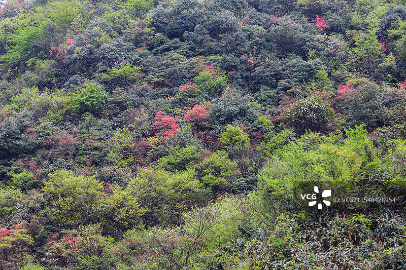 湖州安吉县芙蓉谷图片素材