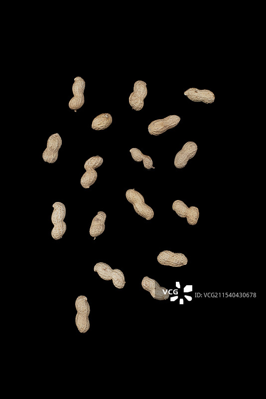 一堆花生 花生米图片素材