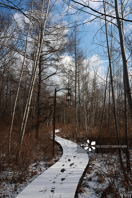 二道白河镇图片素材