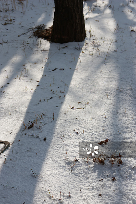 二道白河镇图片素材