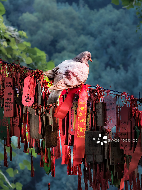 《祈愿世界和平，多喜乐长安宁》图片素材