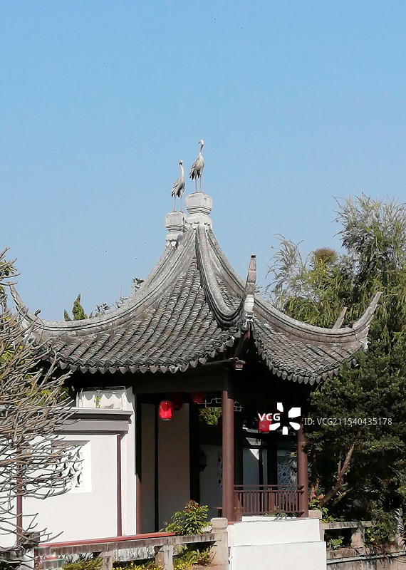 ：亭子上的鸟图片素材