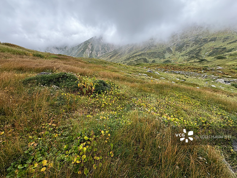 日本富山县立山黑部阿尔卑斯山脉路线室堂云雾中的高原森林山脉景观图片素材