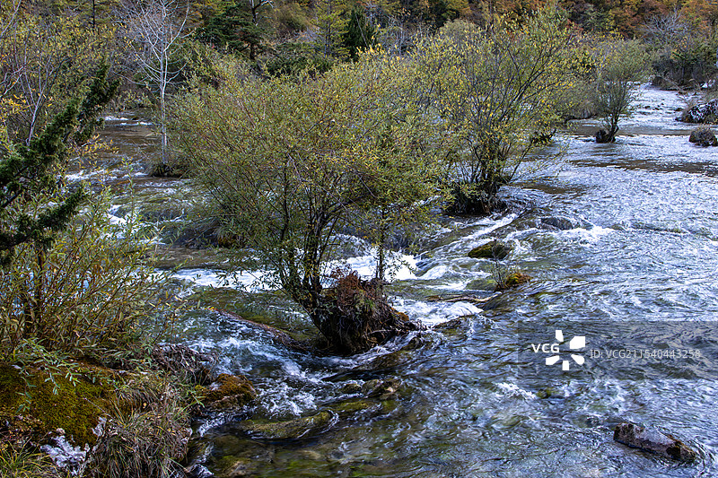 四川阿坝州川西九寨沟秋色，盆景滩山林溪流图片素材