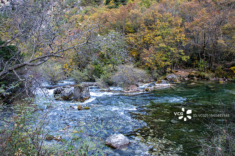 四川阿坝州川西九寨沟秋色，盆景滩山林溪流图片素材