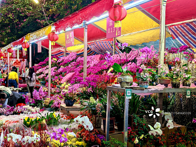 新春花市图片素材