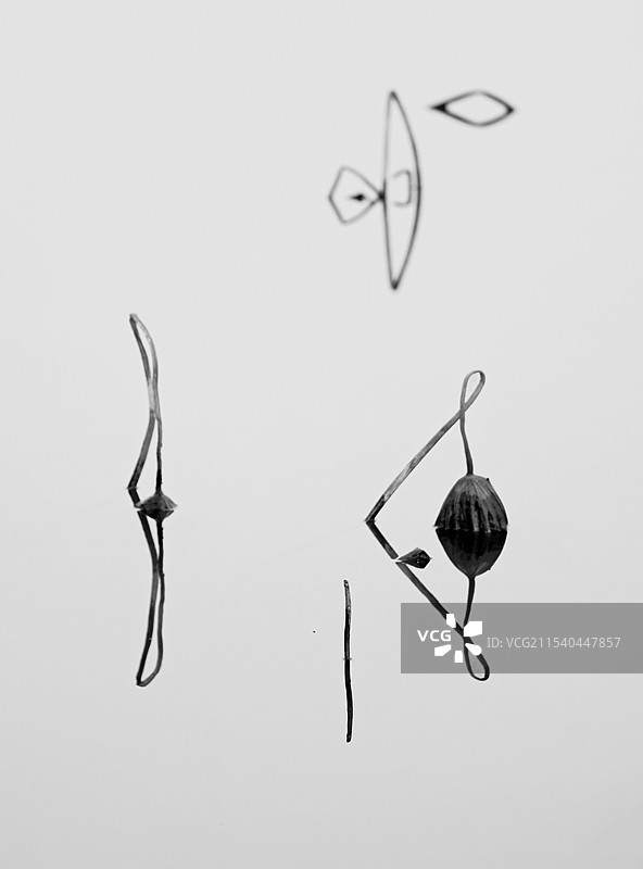 孤独吟尽·枯梗如铁图片素材