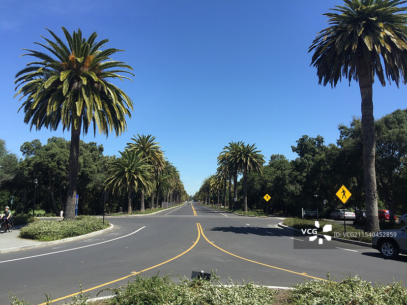 斯坦福大学 Stanford University图片素材
