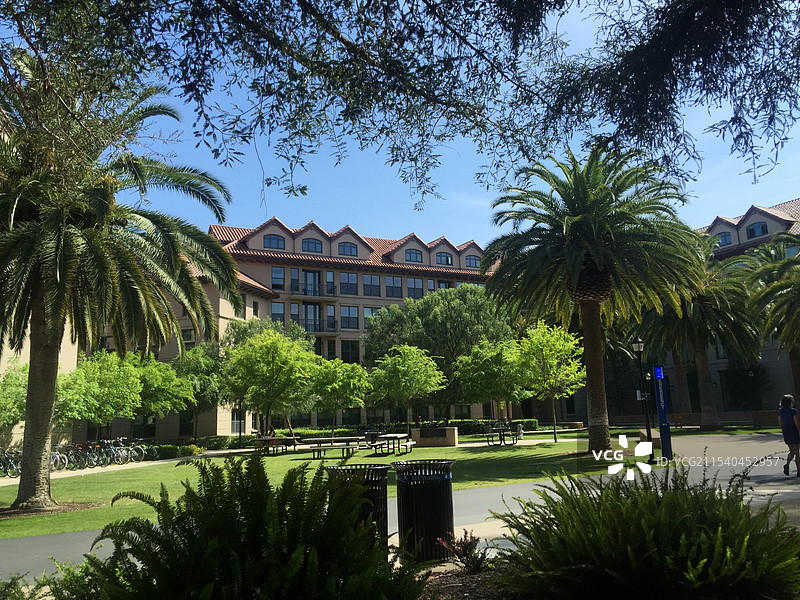 斯坦福大学 Stanford University图片素材