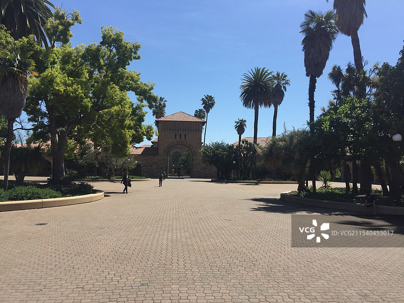 斯坦福大学 Stanford University图片素材