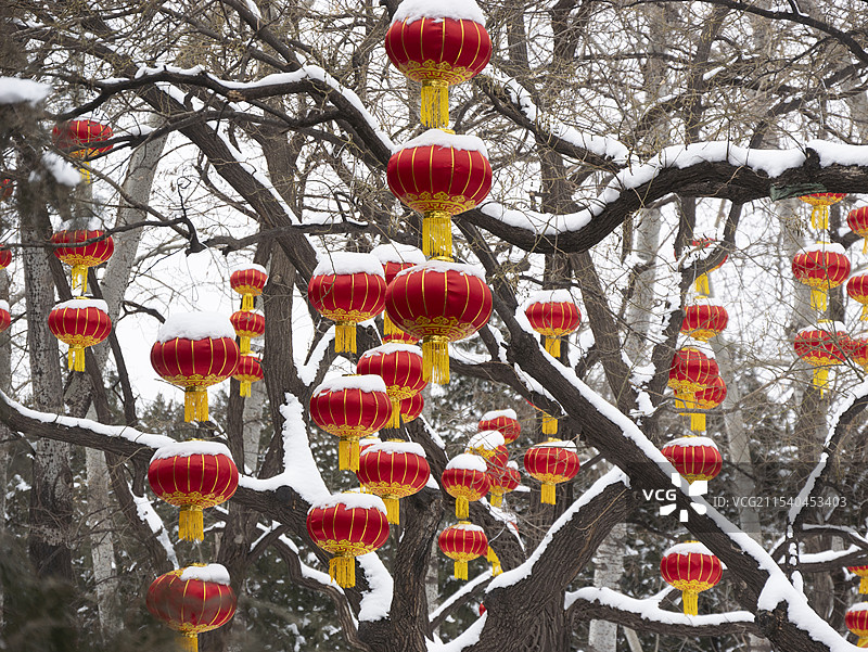 春节天坛公园雪景红灯笼高挂图片素材