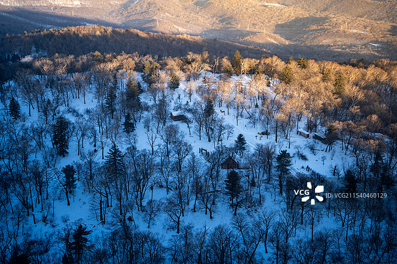朝阳照在雪原上图片素材