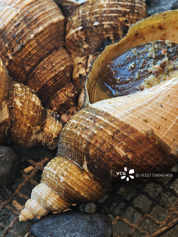 炭烧响螺 管角螺 海螺 现代潮菜 海味珍品 潮汕菜 粤菜分支 中式菜肴 《煮海》汕头市黑珍珠餐厅图片素材