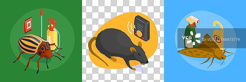 等距的害虫控制设计概念与方形图片素材