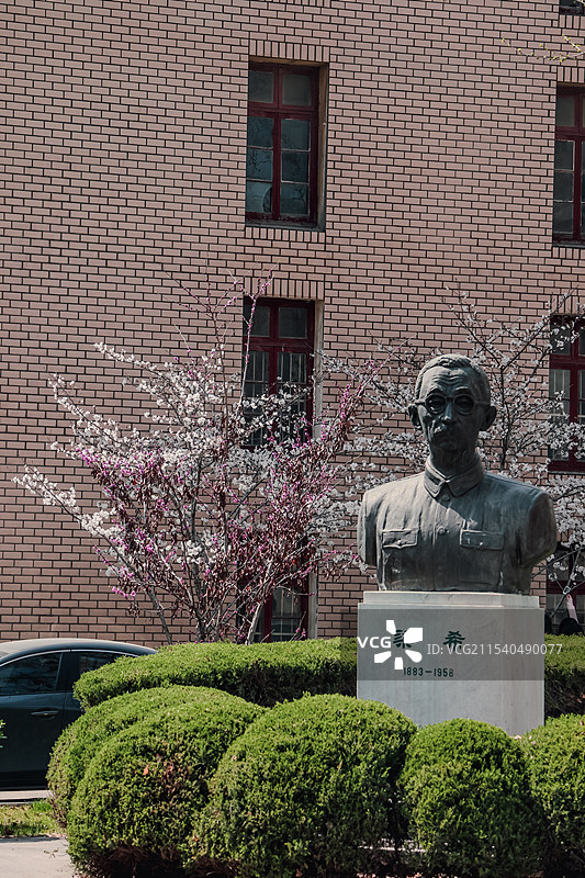 南京林业大学樱花图片素材