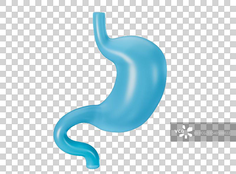 3D渲染建模素材医疗健康胃器官人体模型保健图片素材