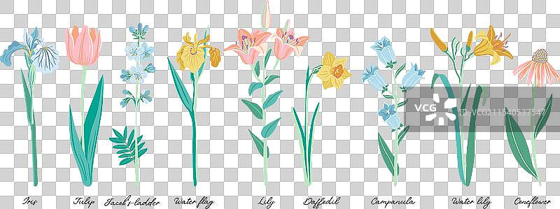 绘制花园花卉图片素材