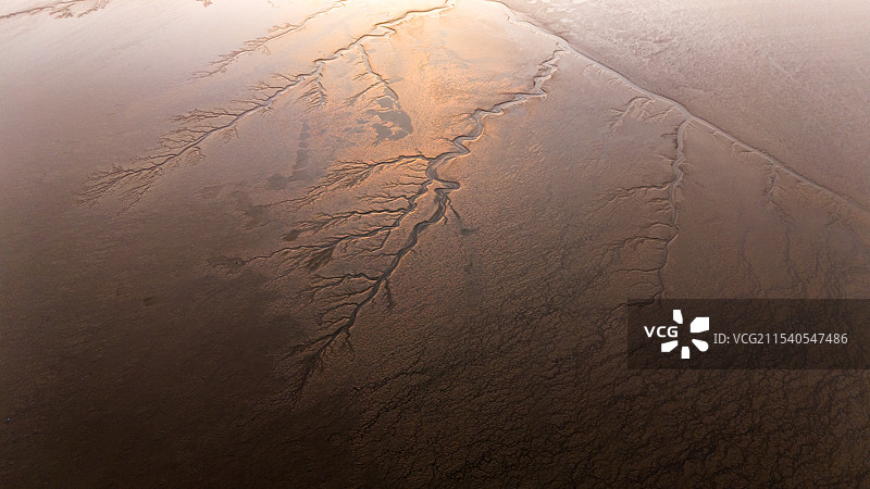 嘉兴海宁市嘉绍大桥塘江畔潮汐之树图片素材