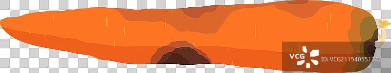 变质的胡萝卜蔬菜图片素材