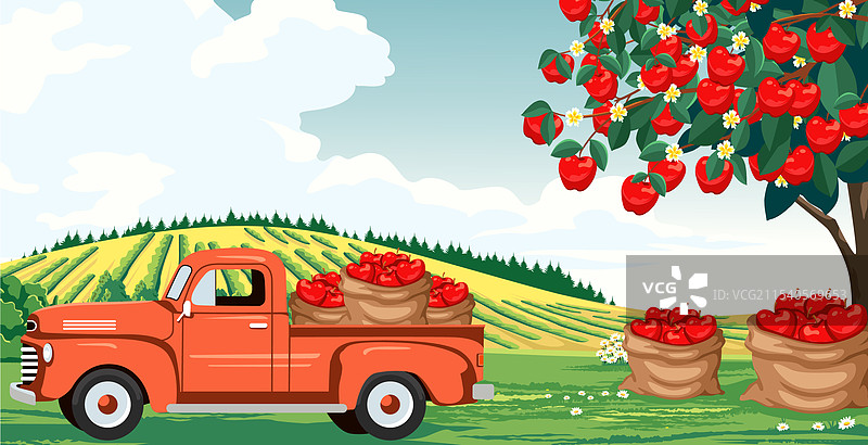 一辆装满苹果的红色卡车在美丽的苹果园中。图片素材