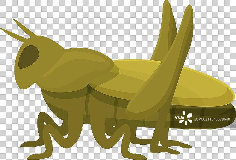 跳跃的彩色卡通蚱蜢动物图标图片素材