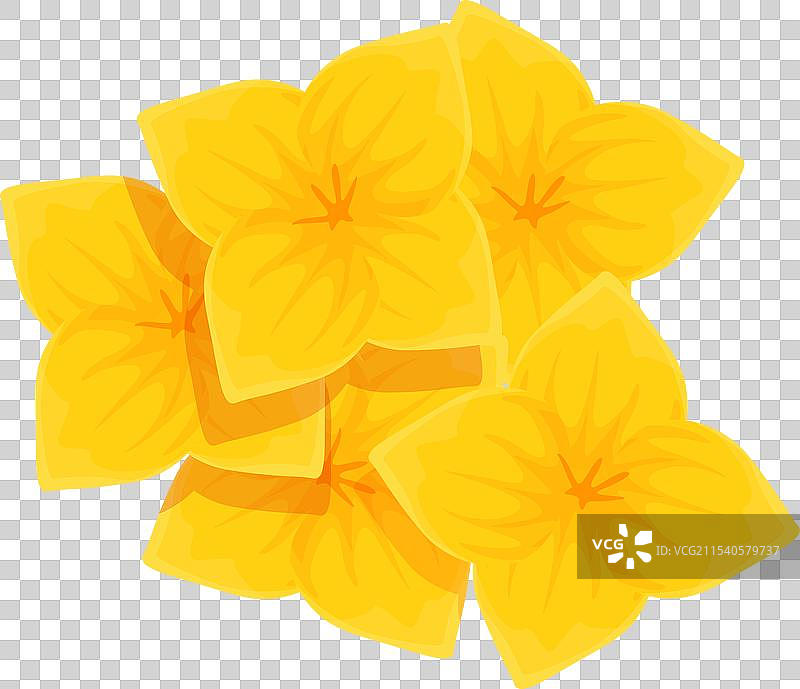 油菜花图标卡通花卉草地图片素材