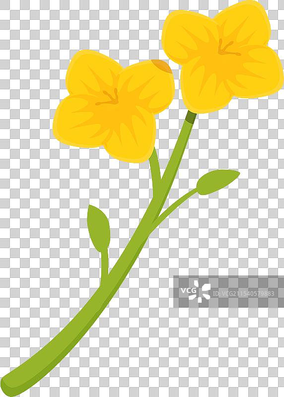 卡通油菜花植物图标图片素材