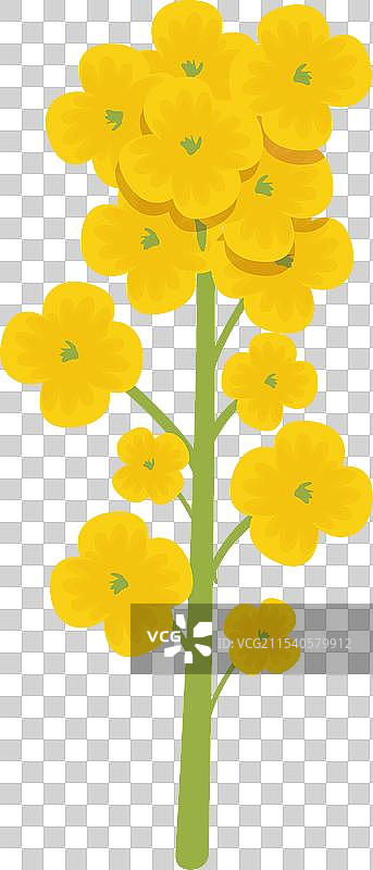 有机植物农业图标卡通风格图片素材