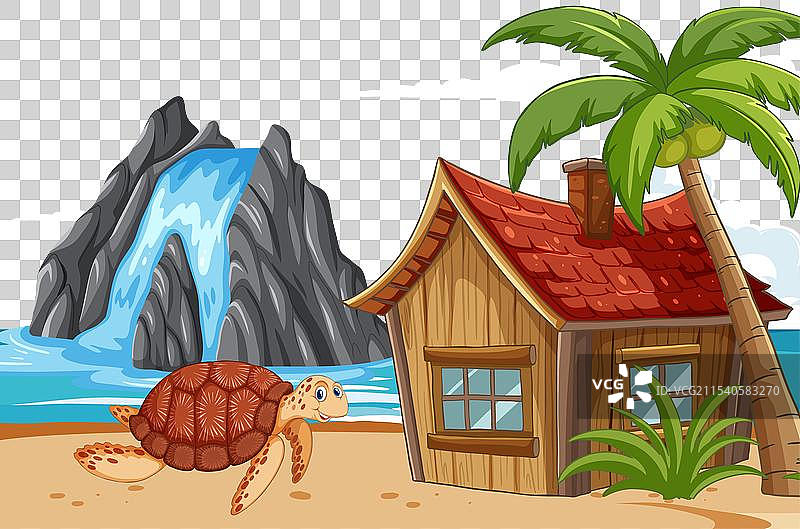 海滩上小屋附近的一只海龟图片素材
