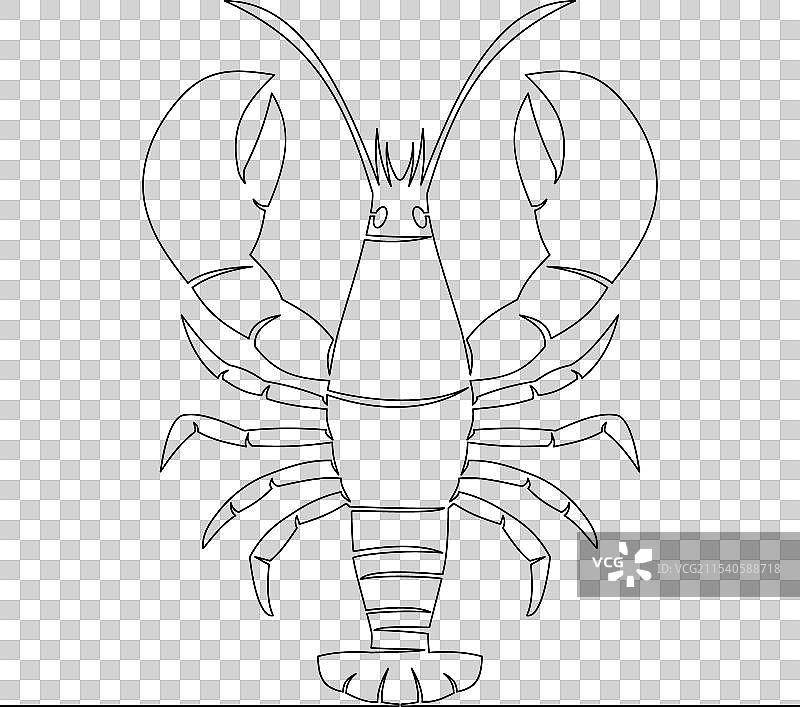 连续线条绘制的淡水小龙虾概念图片素材