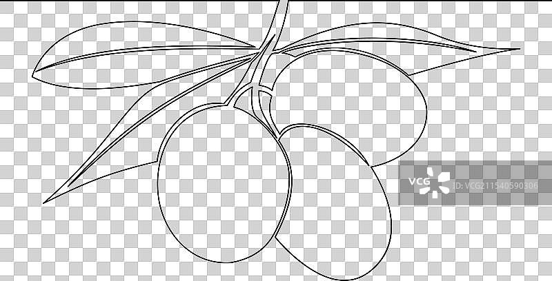连续线条绘制的橄榄枝概念图片素材