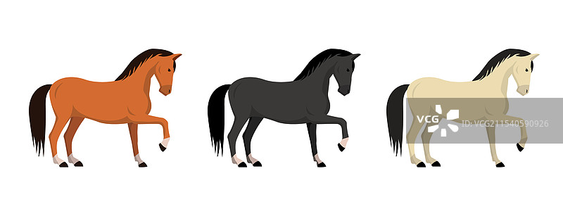 不同毛色的马匹组合，背景为白色图片素材