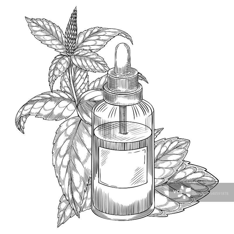 复古玻璃瓶中的薄荷精油图片素材