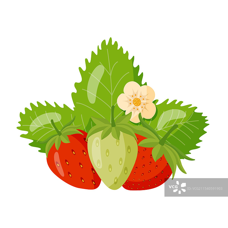 色彩斑斓的成熟草莓与花朵组合图片素材
