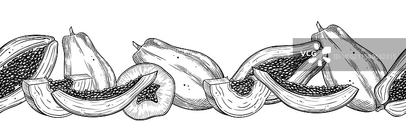 无缝线性边框与手绘木瓜图片素材