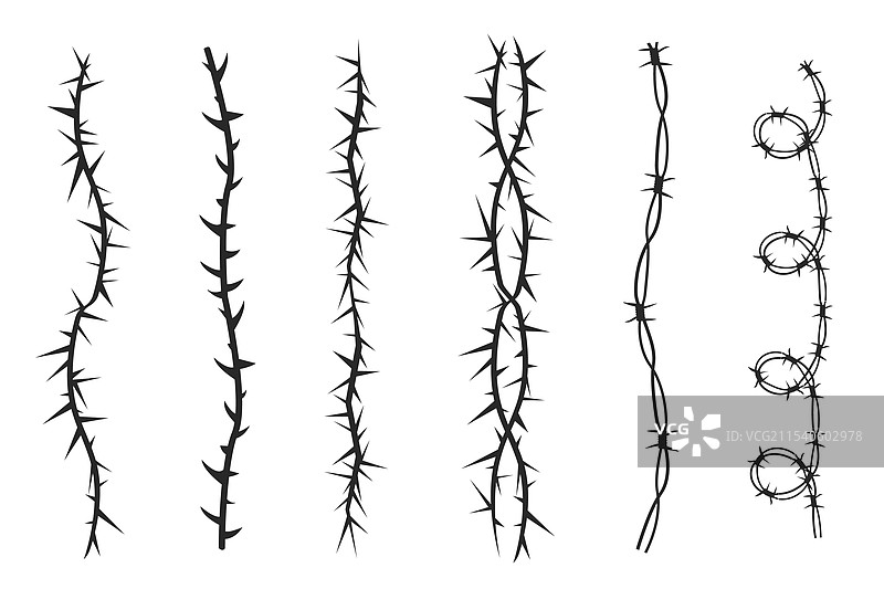 带刺的藤本植物茎，简单边框图片素材