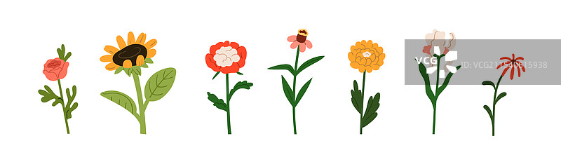 花卉套装，盛开的花朵与绽放的枝条图片素材