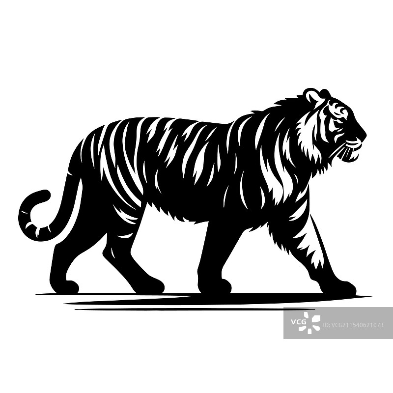 黑白色的老虎图片素材