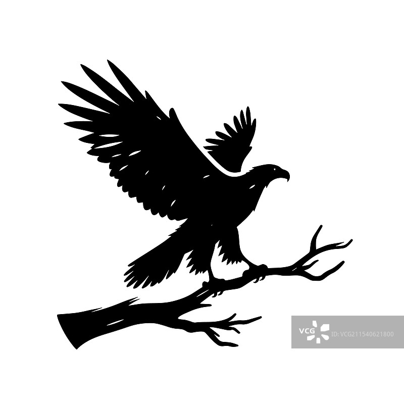 鹰在树枝上降落的剪影图片素材