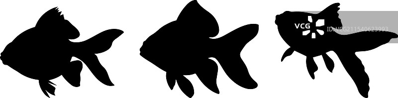 金鱼的轮廓画图片素材