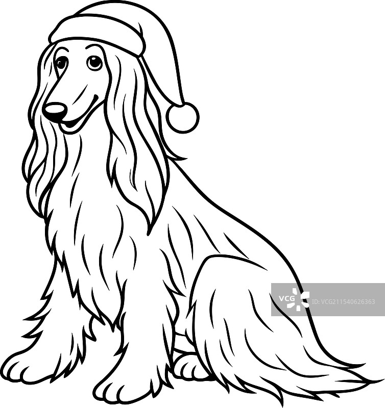戴圣诞老人帽的阿富汗猎犬图片素材